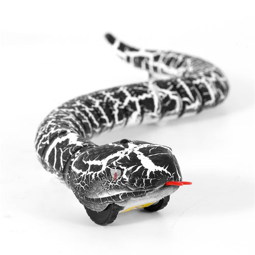 RC Snake With Egg